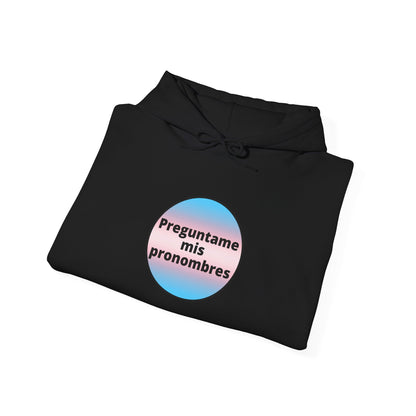 Preguntame mis Pronombres Trans Hooded Sweatshirt