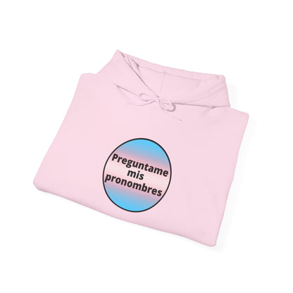 Preguntame mis Pronombres Trans Hooded Sweatshirt