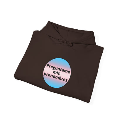 Preguntame mis Pronombres Trans Hooded Sweatshirt