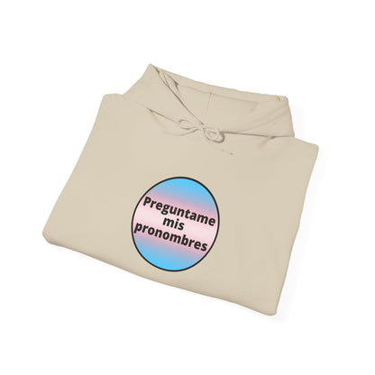 Preguntame mis Pronombres Trans Hooded Sweatshirt