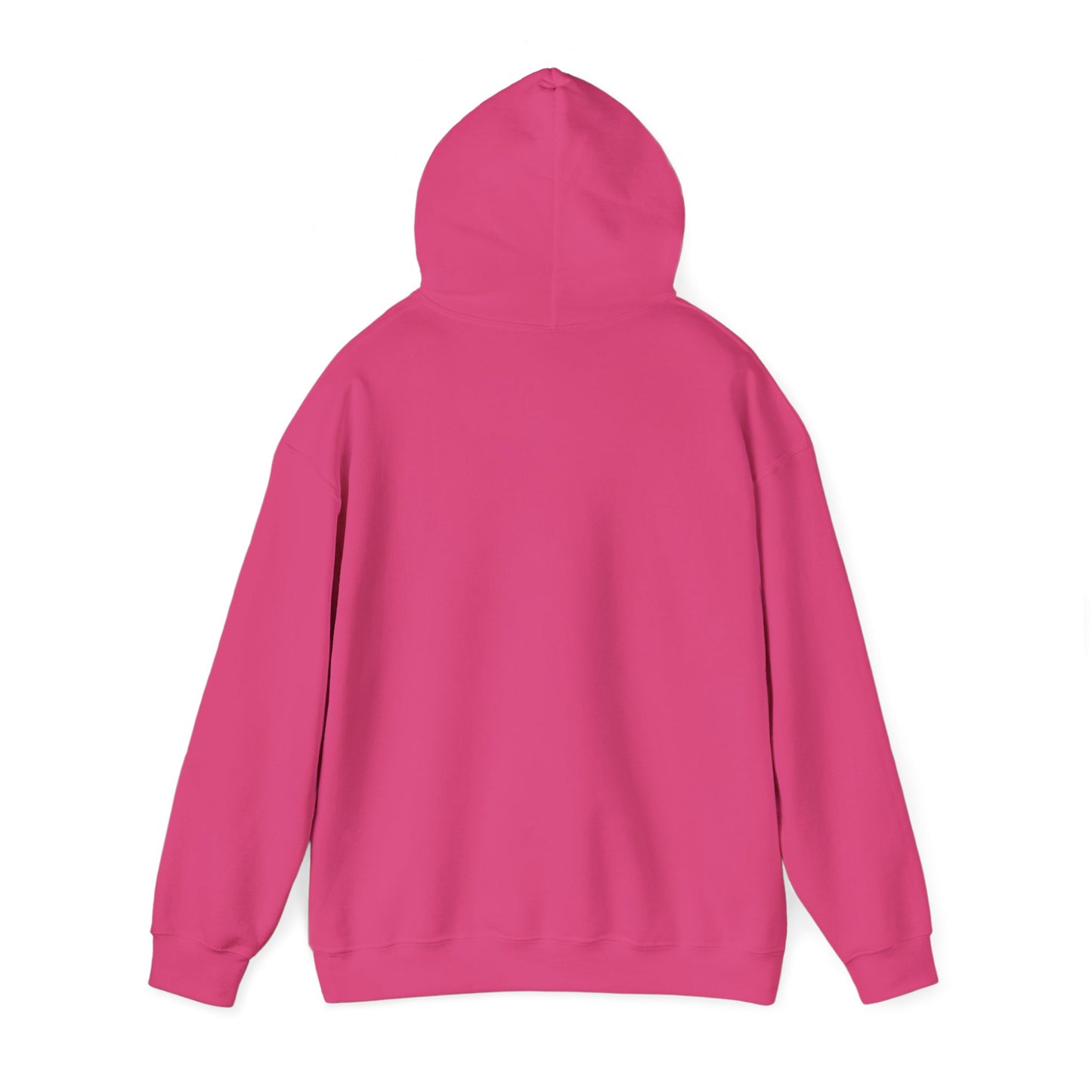 He/El Bi Hooded Sweatshirt