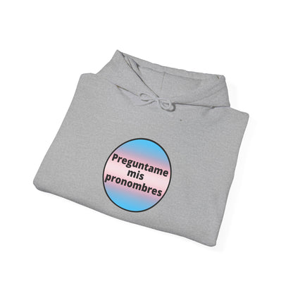 Preguntame mis Pronombres Trans Hooded Sweatshirt