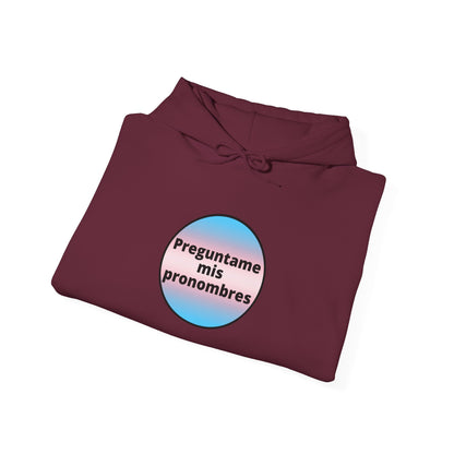 Preguntame mis Pronombres Trans Hooded Sweatshirt
