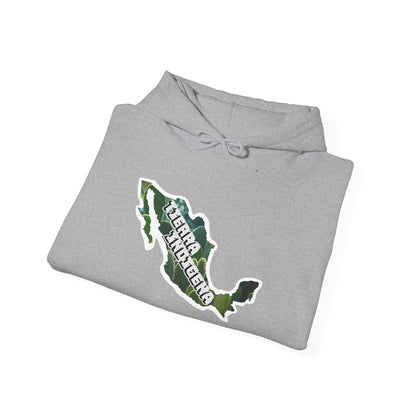 Tierra Indigena Nopales Hooded Sweatshirt
