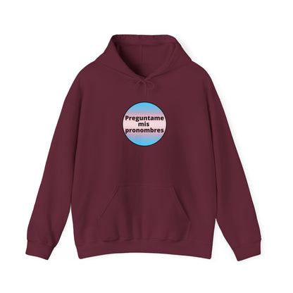 Preguntame mis Pronombres Trans Hooded Sweatshirt