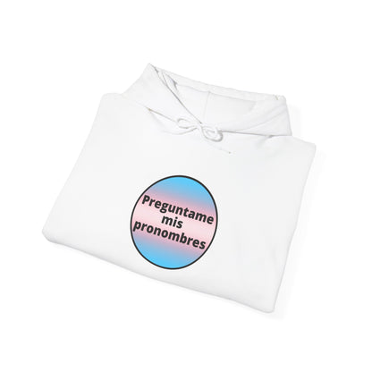 Preguntame mis Pronombres Trans Hooded Sweatshirt