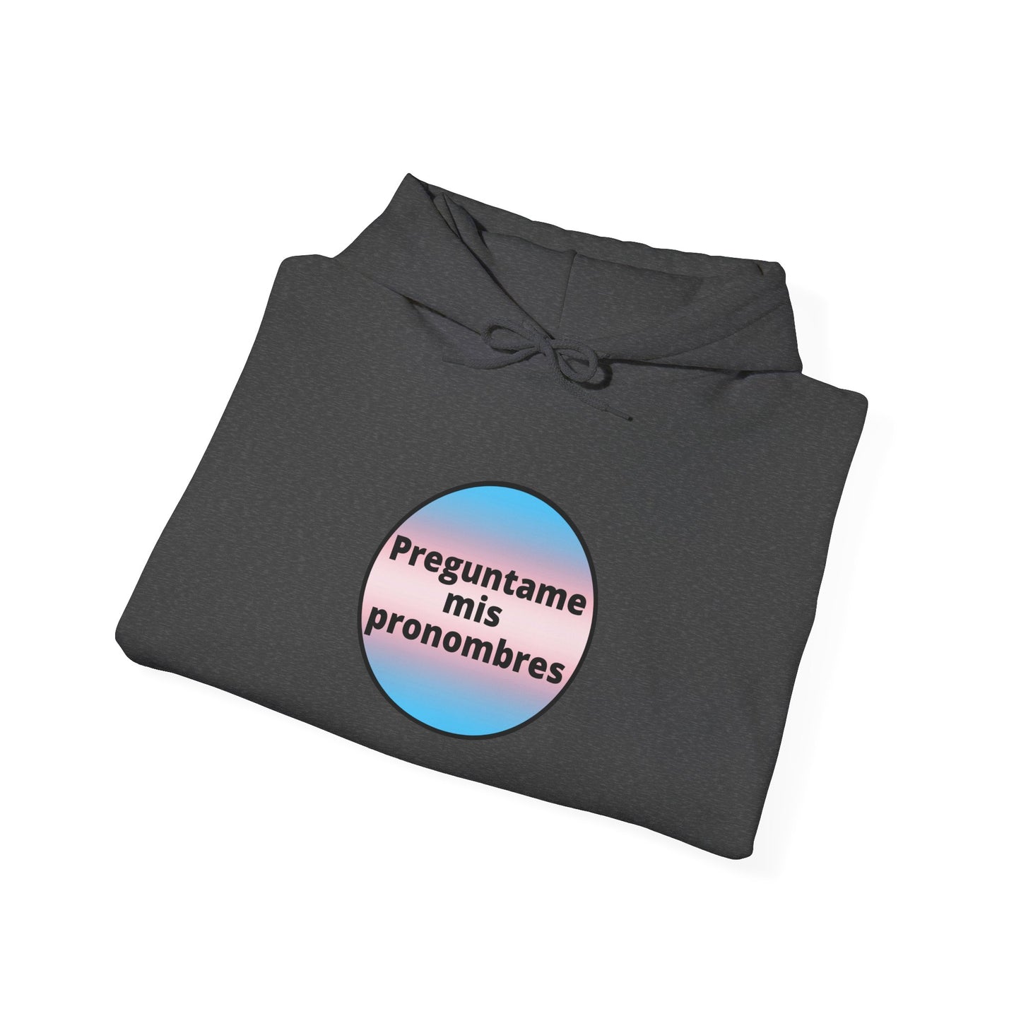 Preguntame mis Pronombres Trans Hooded Sweatshirt