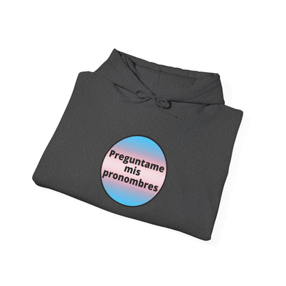 Preguntame mis Pronombres Trans Hooded Sweatshirt